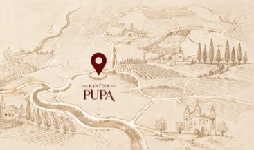 Ilustrim konceptual i vreshtave, jo hartë navigimi